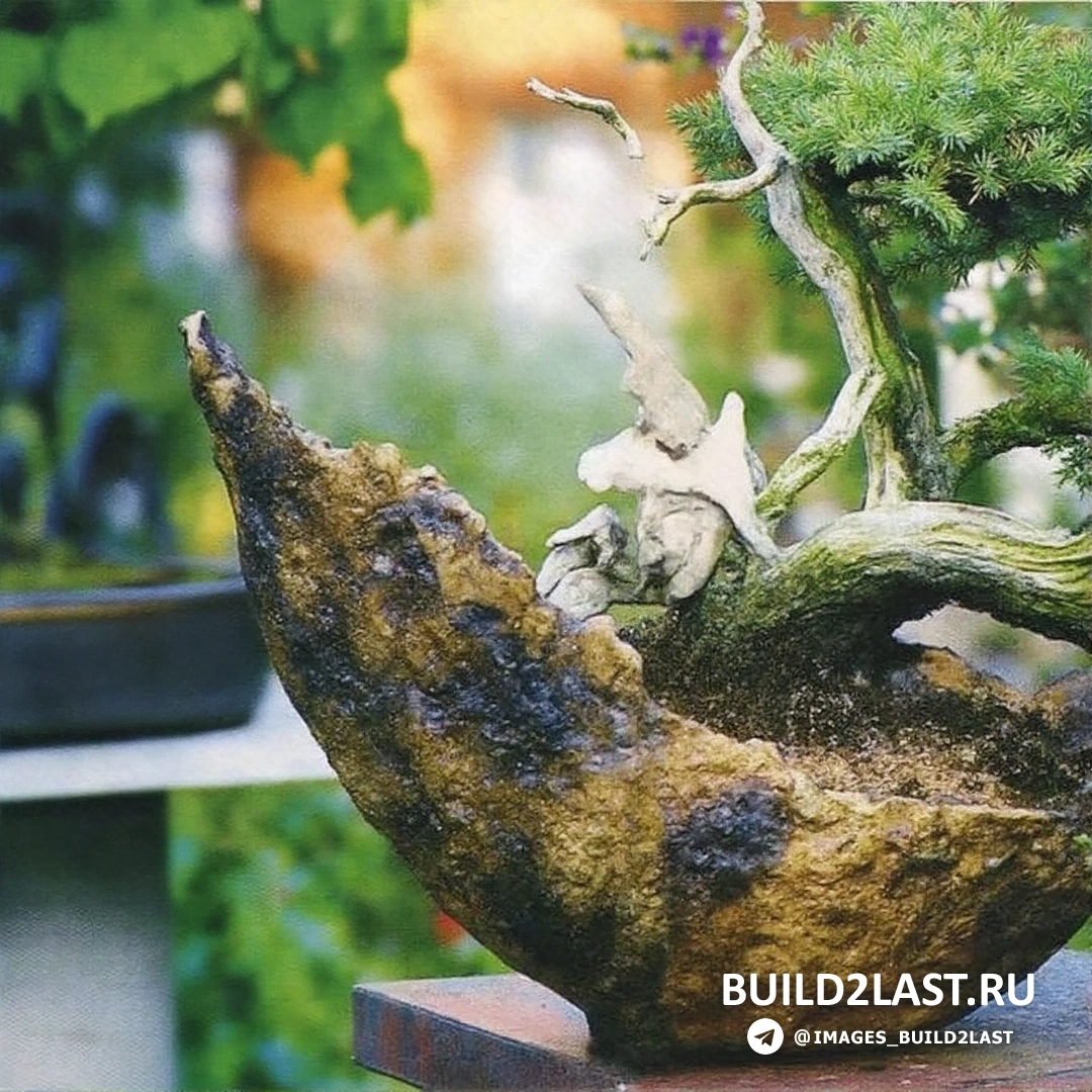 Бонсай на фоне светлого деревянного элемента с зелеными и коричневыми листьями