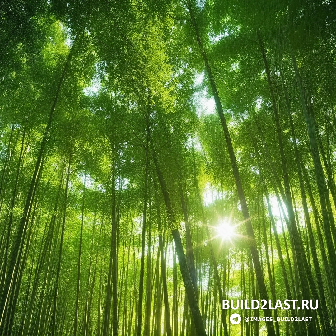 ������ � ������� ���������� ��� ������ � ������� ������ � �������, ���������� ����������� ���������