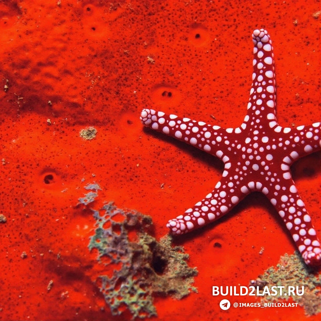 Пляж с красным песком на островах Гавайи, известный своими живописными пейзажами и красивым побережьем.