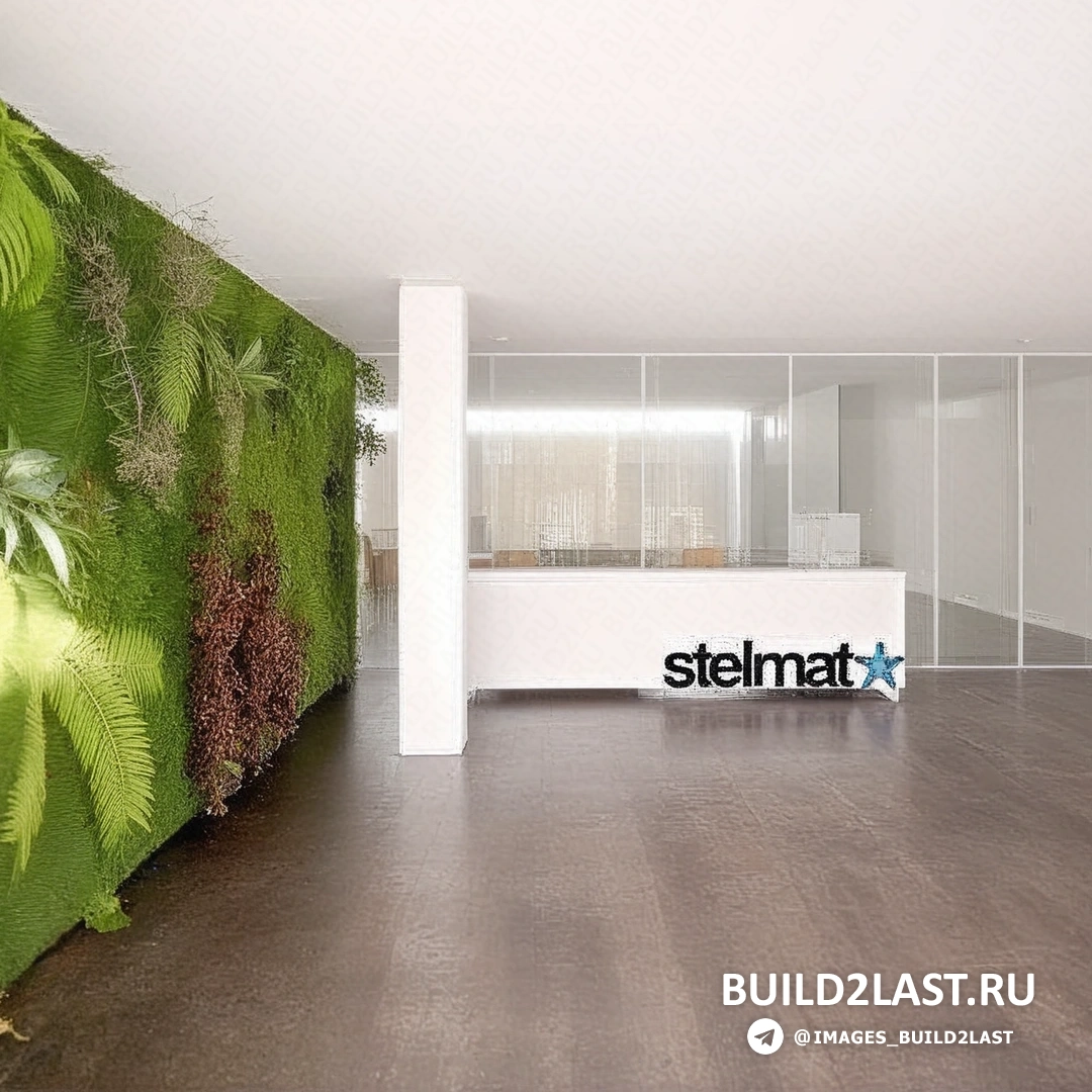 ���� ����������� � ������ ������� � ����������� �������������